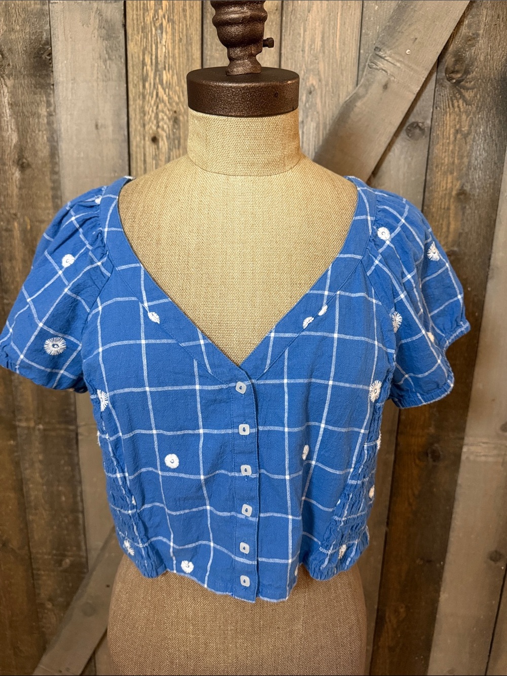 Madewell Blue Embroidered Gingham Crop Top Cotton Puff Sleeve Cottagecore Sz 6